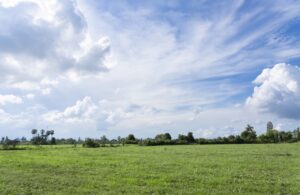 a-green-field-in-the-summertime